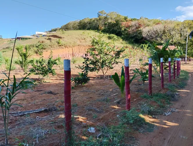 Chácara bairro Jucu Viana 