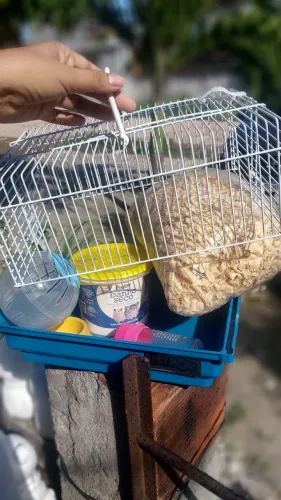 Kit Hamster Completo - Higiene + Acessórios