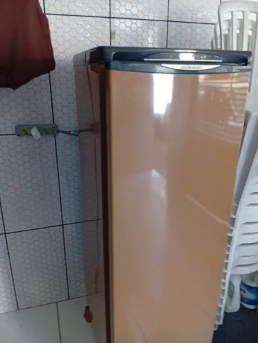 FREEZER PROSDÓCIMO F21 Smile