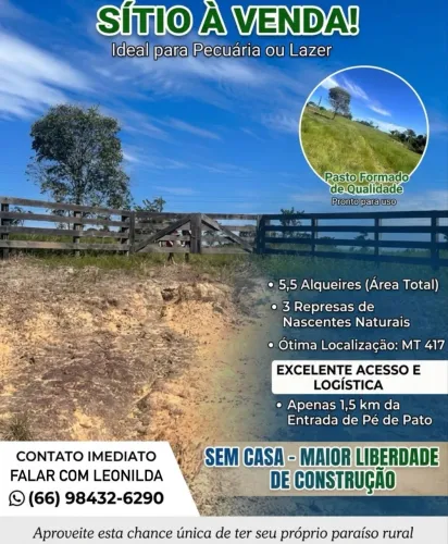 OPORTUNIDADE DE OURO: SÍTIO À VENDA!