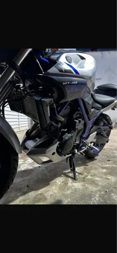 Mt03