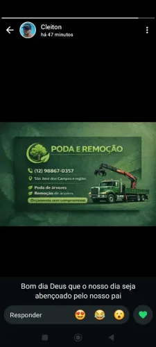Faço serviços de Poda e remoção de árvores etc..