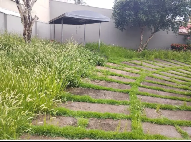 Jardinagem & roçadas 