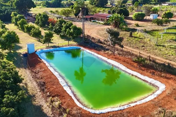 Chácara com 5 Hectares à Venda  Casa Ampla, Produção Agrícola e Localização Privilegiada!