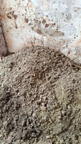 Esterco de cavalo ensacado