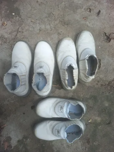 Botas