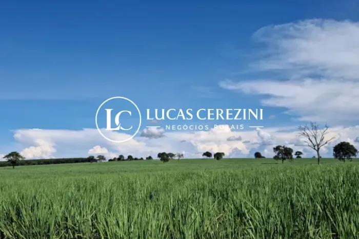 74 Alqueires em cana ótimo investimento