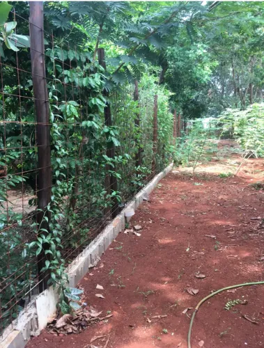 Casa rústica com terreno bem grande em Jardinópolis