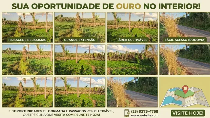 Terreno 