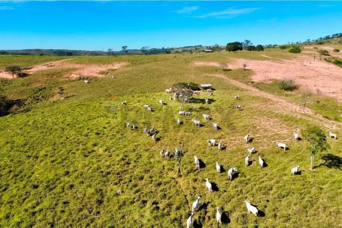 FAZENDA GUARIROBA À VENDA 222,65 HECTARES PATOS DE MINAS/MG