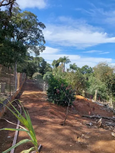 Terreno 3.000 m² em Ibiúna | Casa + Energia + Árvores Frutíferas | Areia Vermelha