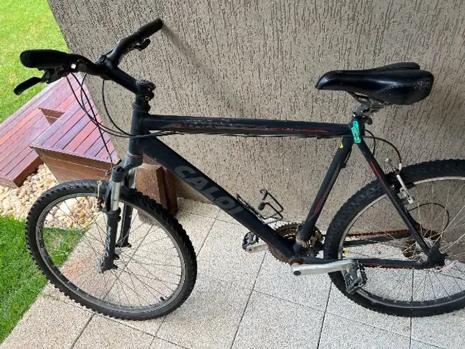 Bicicleta