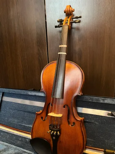 Violino Eagle ve 244 Semi novo