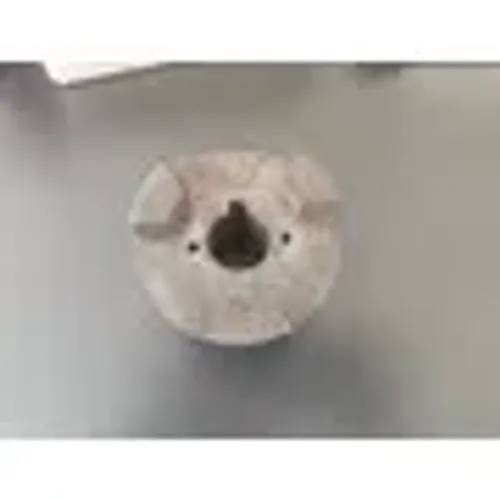 Acoplamento Da Bomba De Vácuo Paem Lado Do Motor