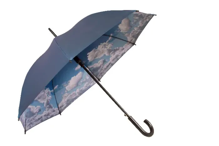 Guarda Chuva tipo bengala Céu Azul Abertura Automática Lote