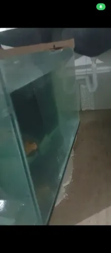 Aquário a vendo ou troca em algo de meu enterrese mas volta