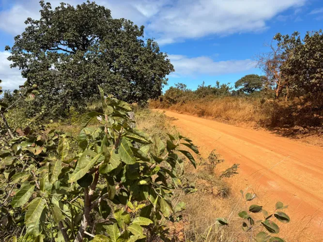 FAZENDA 650ha EM GRÃO MOGOL: Ouro Verde para Café e Lucro Garantido!