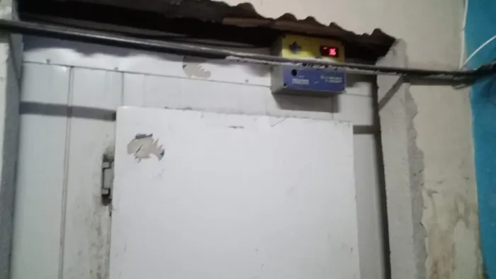 Câmera frigorífico barato