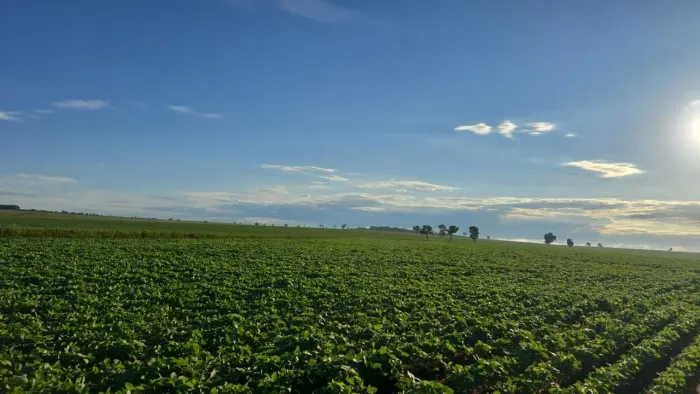 Fazenda troca em fazenda Paraná ou venda 