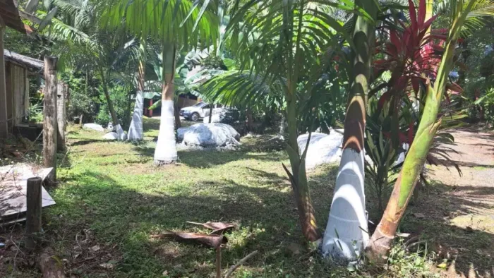 Chácara com acesso a Natureza, tranquilidade e qualidade de vida! Com 5.000m²
