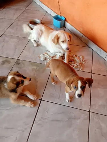 Doaçao 