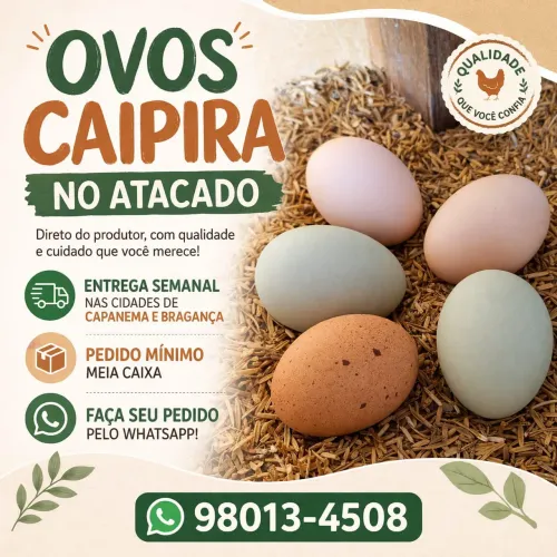 Caipira direto do produtor - entrega semanal em Capanema e Bragança 