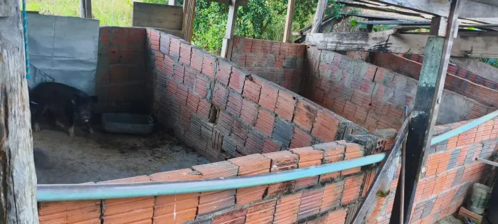 Vende-se uma chácara 4.5 hectares terra muito boa