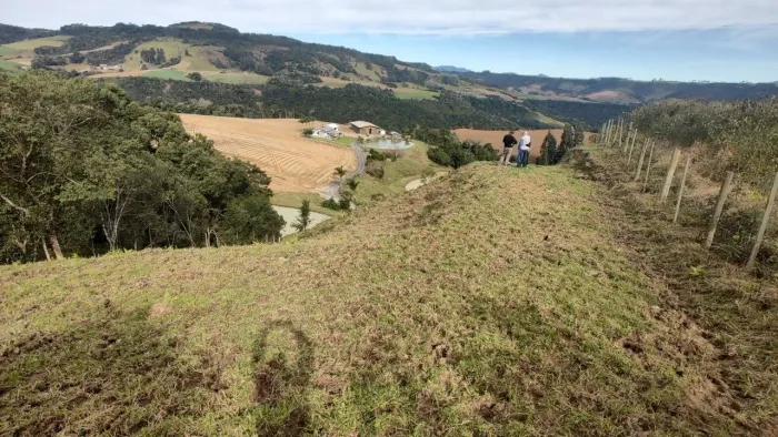 Incrível terreno 1 HA com escritura individualizada