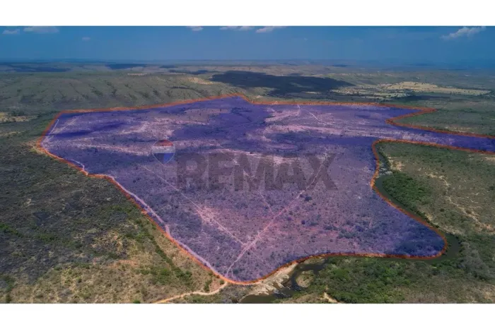 Fazenda 1.635 ha com 2 Rios Perenes, Área Plana e Cerrado Preservado  Formoso-MG, Chapada 