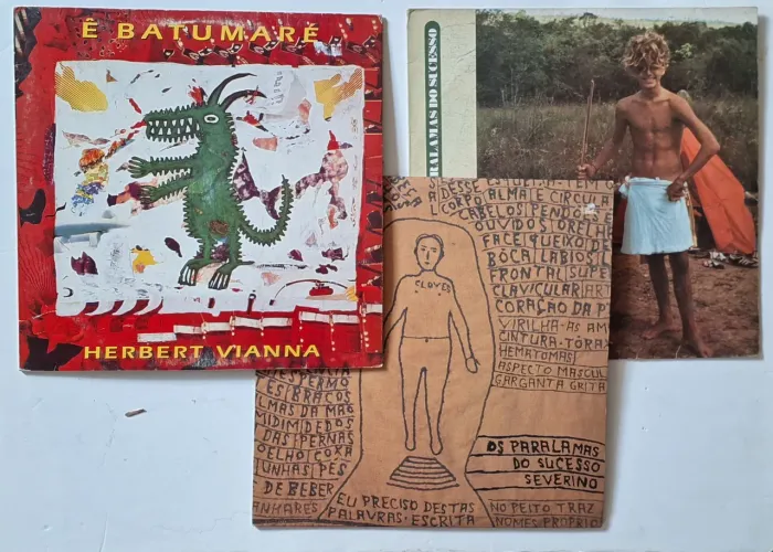 Lote trio discos vinil lp paralamas do sucesso Herbert vianna