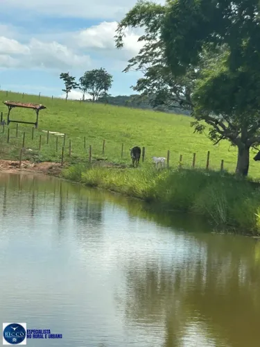 Chácara à Venda em Araçu - GO | 6 Alqueires |Oportunidade Única!
