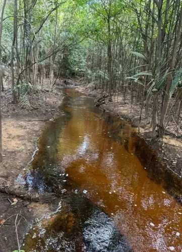 Terreno fundo pro igarapé