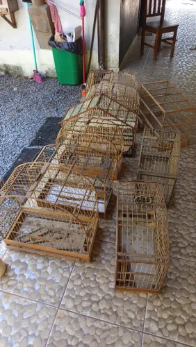 Gaiola de passarinho, 100 reais cada