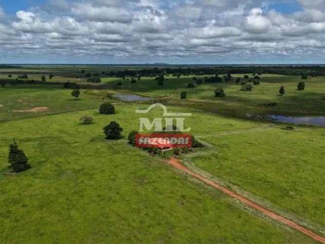 Fazenda 430 Alqueires (2.081 hectares) Jussara - GO