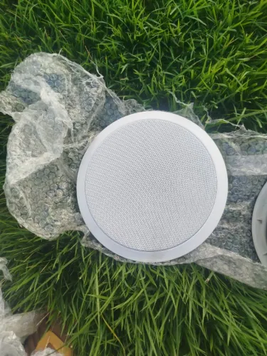 Arandela de Teto BSA-CX6 (Bravox) - 100W Som de Alta Qualidade
