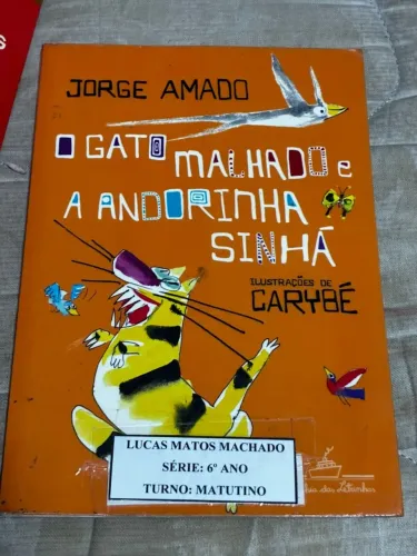 Livro - O gato malhado e a Andorinha Sinhá.
