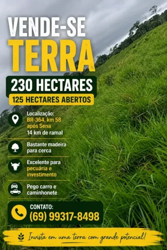 vendo terra, fazenda