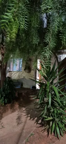 Aluguel Cidade Ocidental