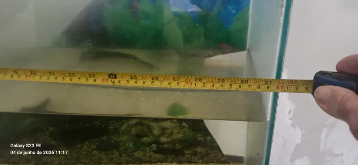 Vendo aquário 