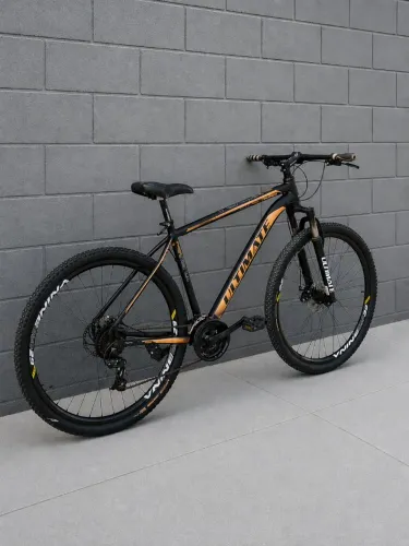Bicicleta aro 29 | Bike aro 29