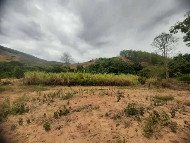 Canavial em excelente oportunidade