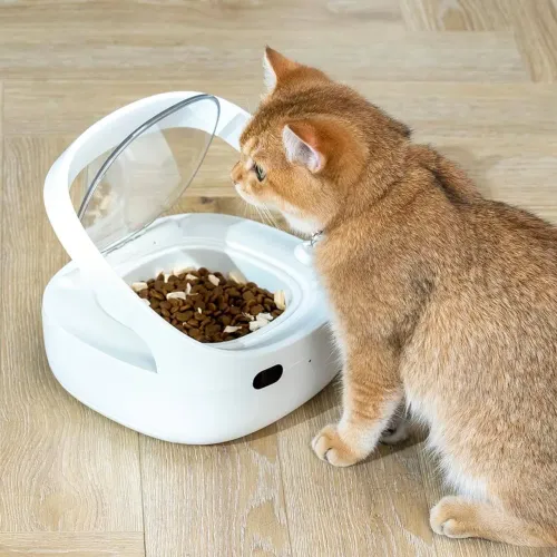 Alimentador automático para Gatos e Cachorros