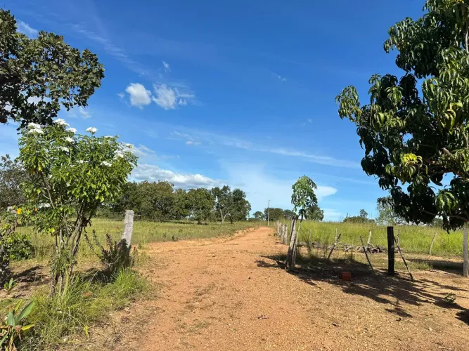 Chácara 3.2 Alqueires Formada no Tocantins