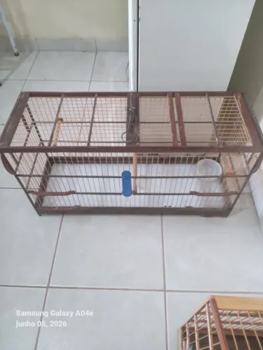 Gaiola voqdora pra vender logo 80 reias telefone *78