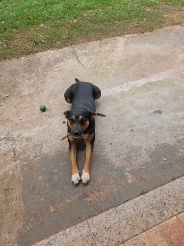 Doação 