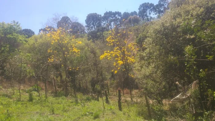 5 litros de terra por 50 mil reais