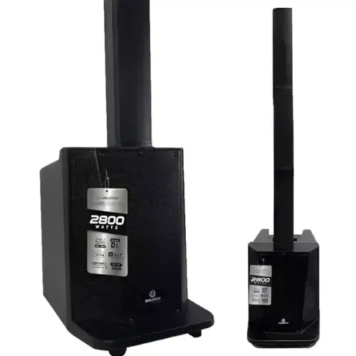 CAIXA AMPLIFICADA 10" WALDMAN TWR-2800