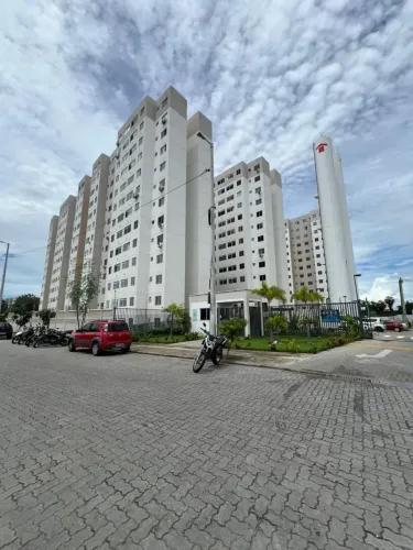 VIDA BOTÂNICA   Passaré/Cajazeiras