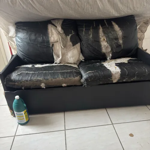 Sofá e colchão de casal para doação