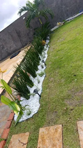 Gramas e plantas 